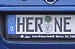 herne.jpg (27007 Byte)