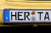 herta.jpg (34394 Byte)