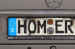 HOMER.JPG (41527 Byte)