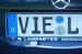 viel.jpg (2609 Byte)