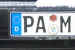 pam.jpg (26963 Byte)